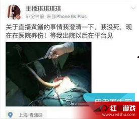 黄鳝门21分钟完整版在线观看,揭秘事件真相与幕后黑幕  第2张